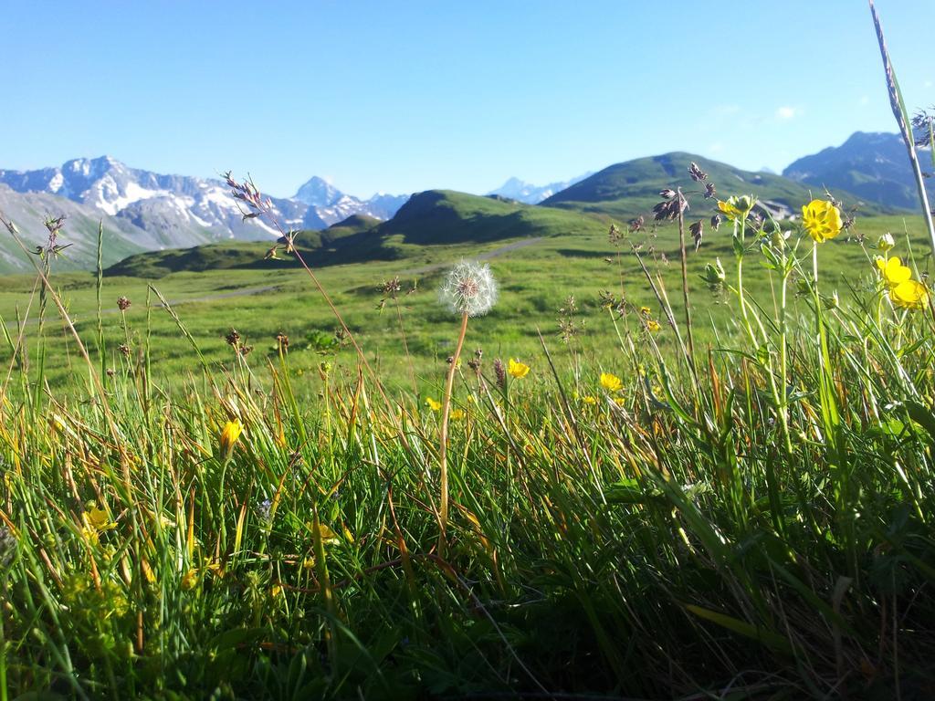 Berggasthaus Tannalp Melchsee Frutt Exterior foto